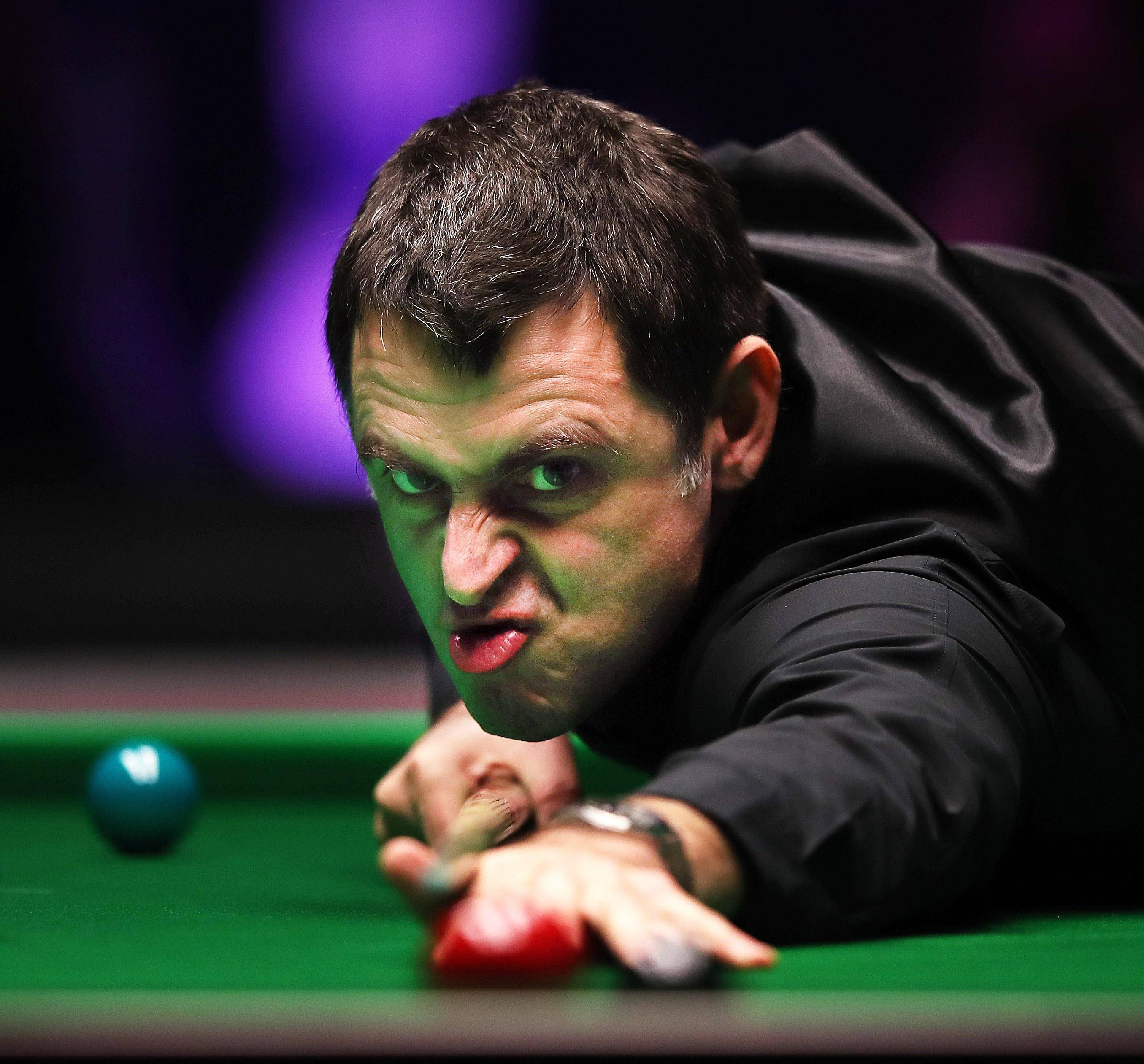 老虎队通常 老虎队通常